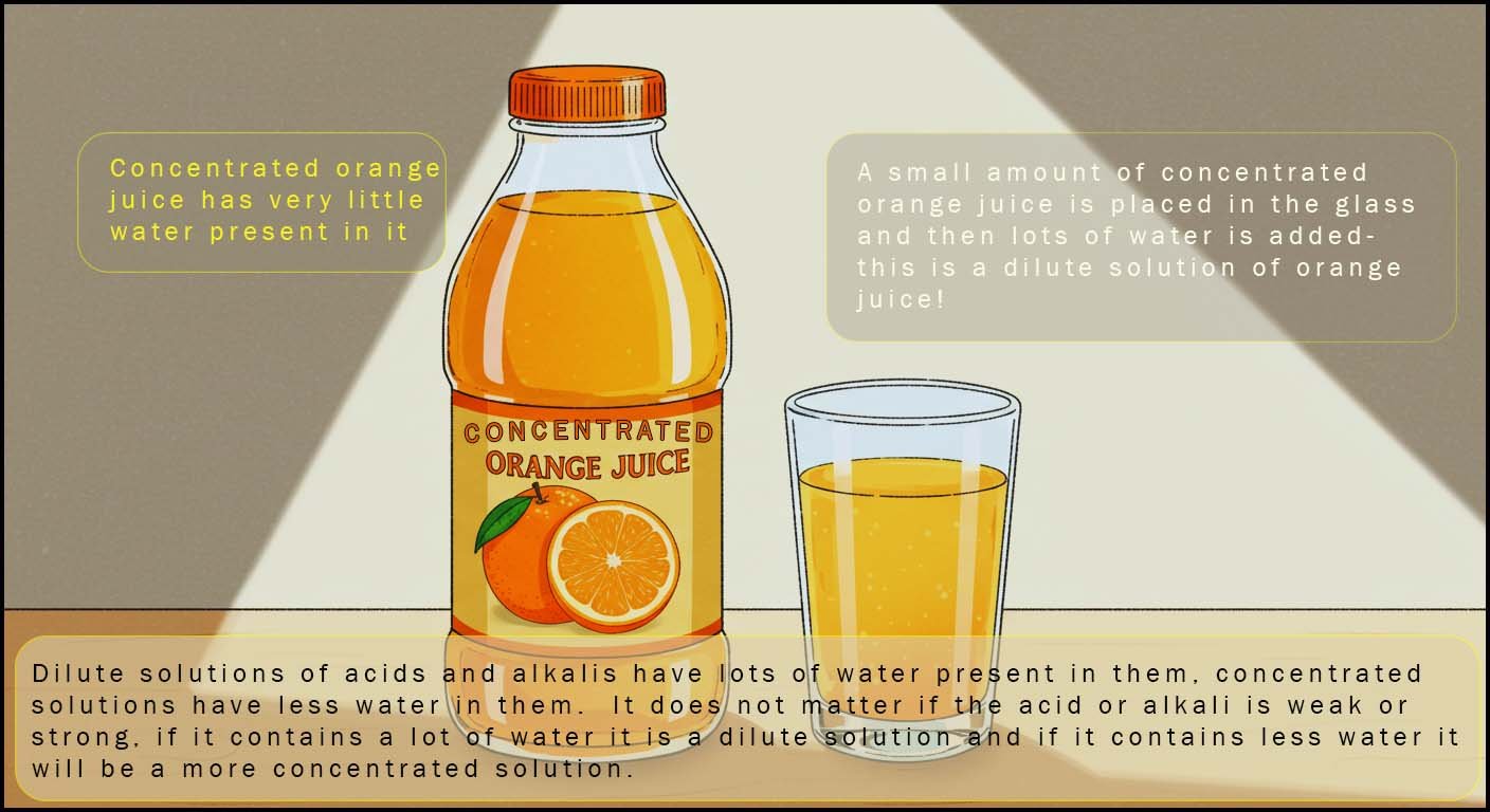 Dilute solutions contain lots of water, concentrated solutions contain less water.
